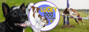 Lucky Dog Training logo