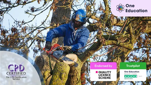 Arboriculture at QLS Level 4 Course