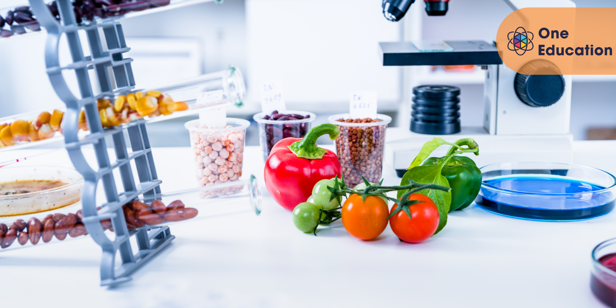 Advanced Concepts in Food Science Course