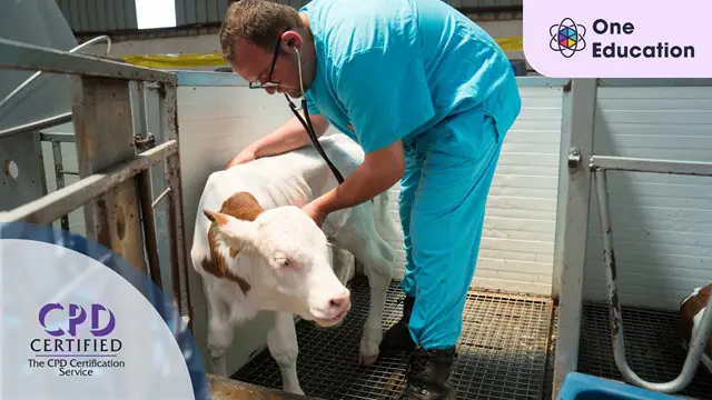 Veterinary Medicine and Infection Control Course