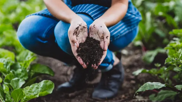 Farming Essentials - Floristry, Gardening, and Arboriculture Course