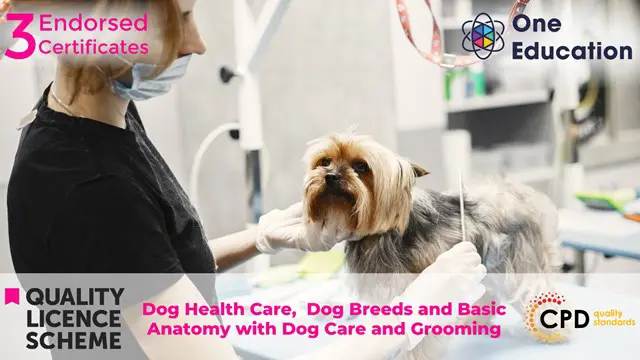 Dog Health Care,  Dog Breeds and Basic Anatomy with Dog Care and Grooming Course