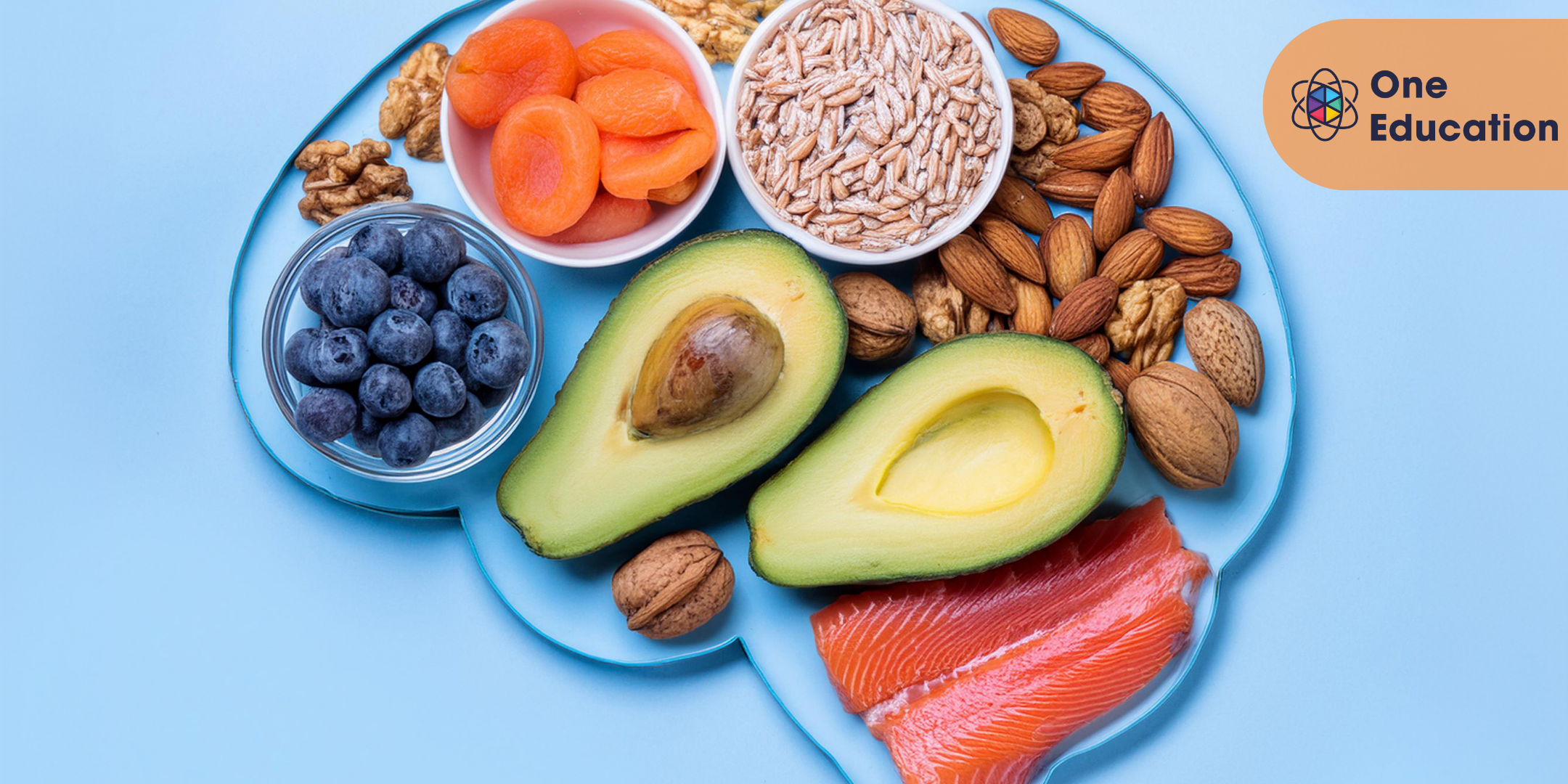 Introduction to the Role of Nutrition in Human Health Course