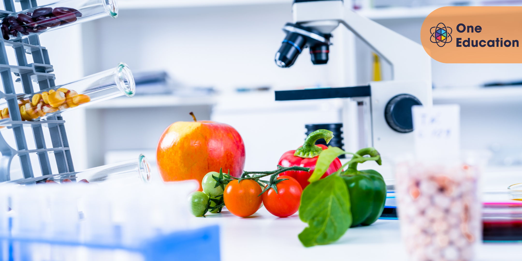 Advanced Innovations in Food Technology Course