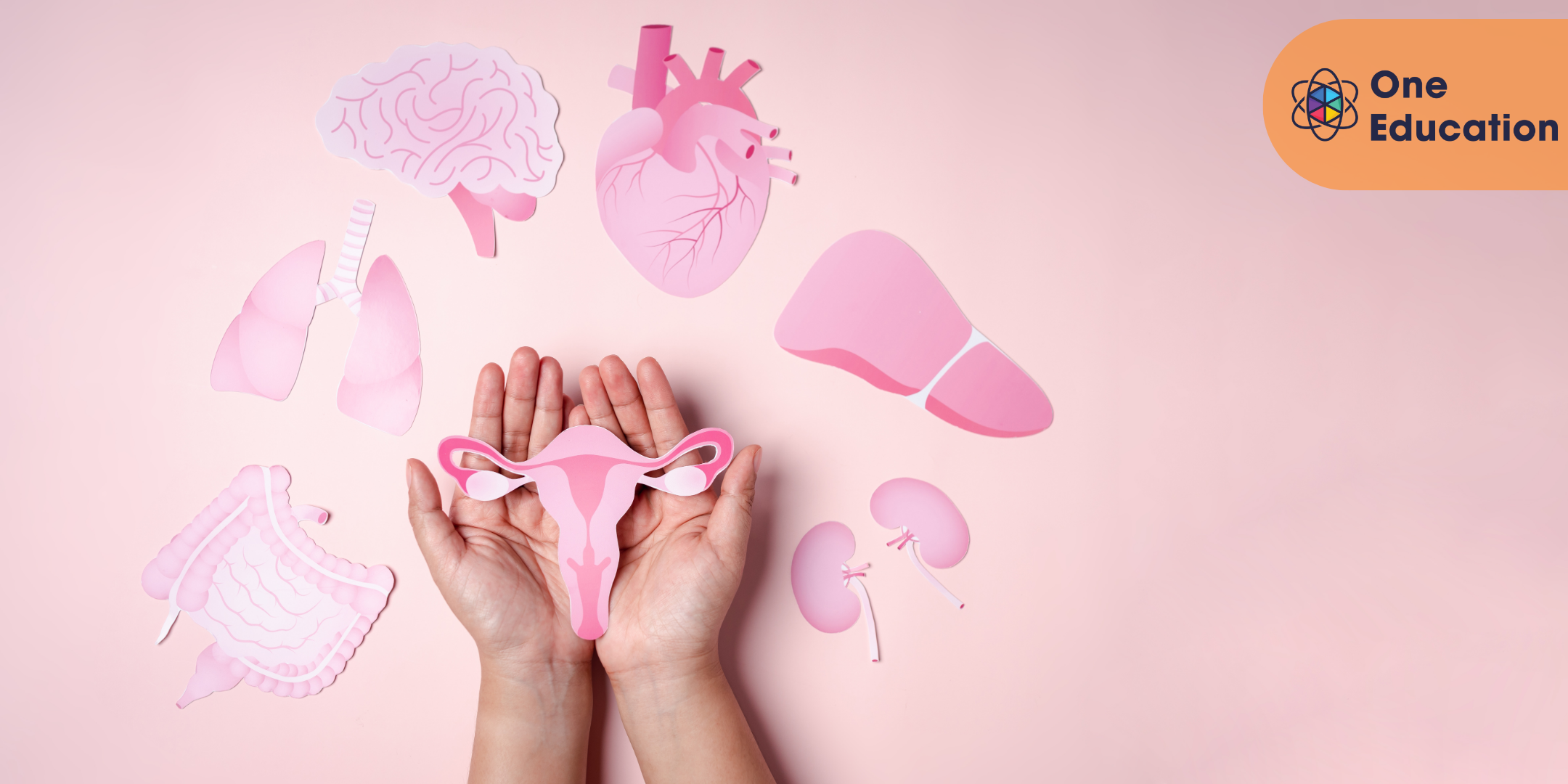 Women's Health Practitioner Course
