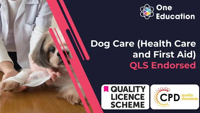 QLS Endorsed Dog Care (Health Care and First Aid) Course