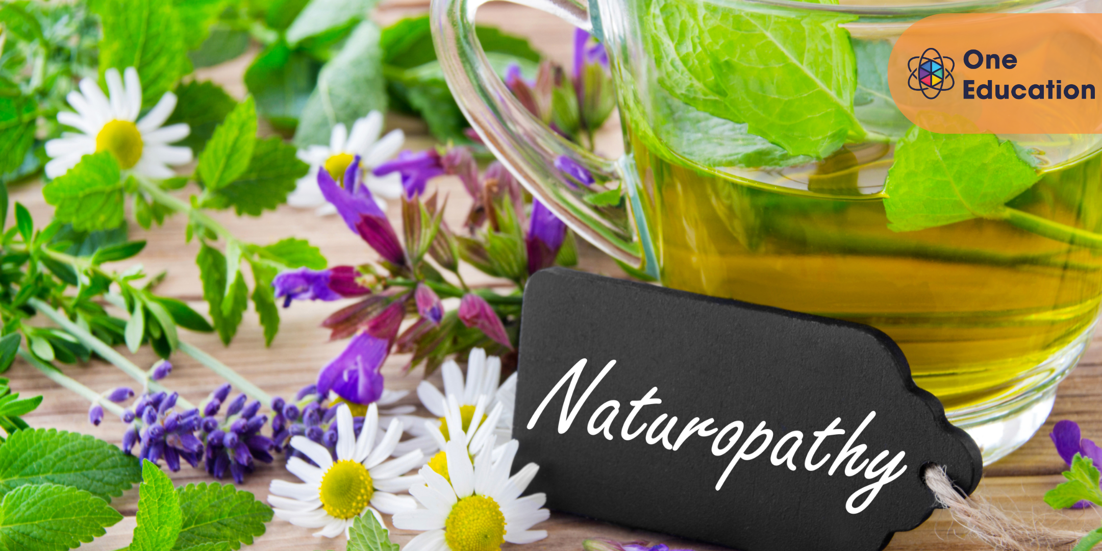 Naturopathy: Holistic Health Practices Course