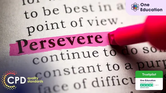 The Power of Perseverance Course