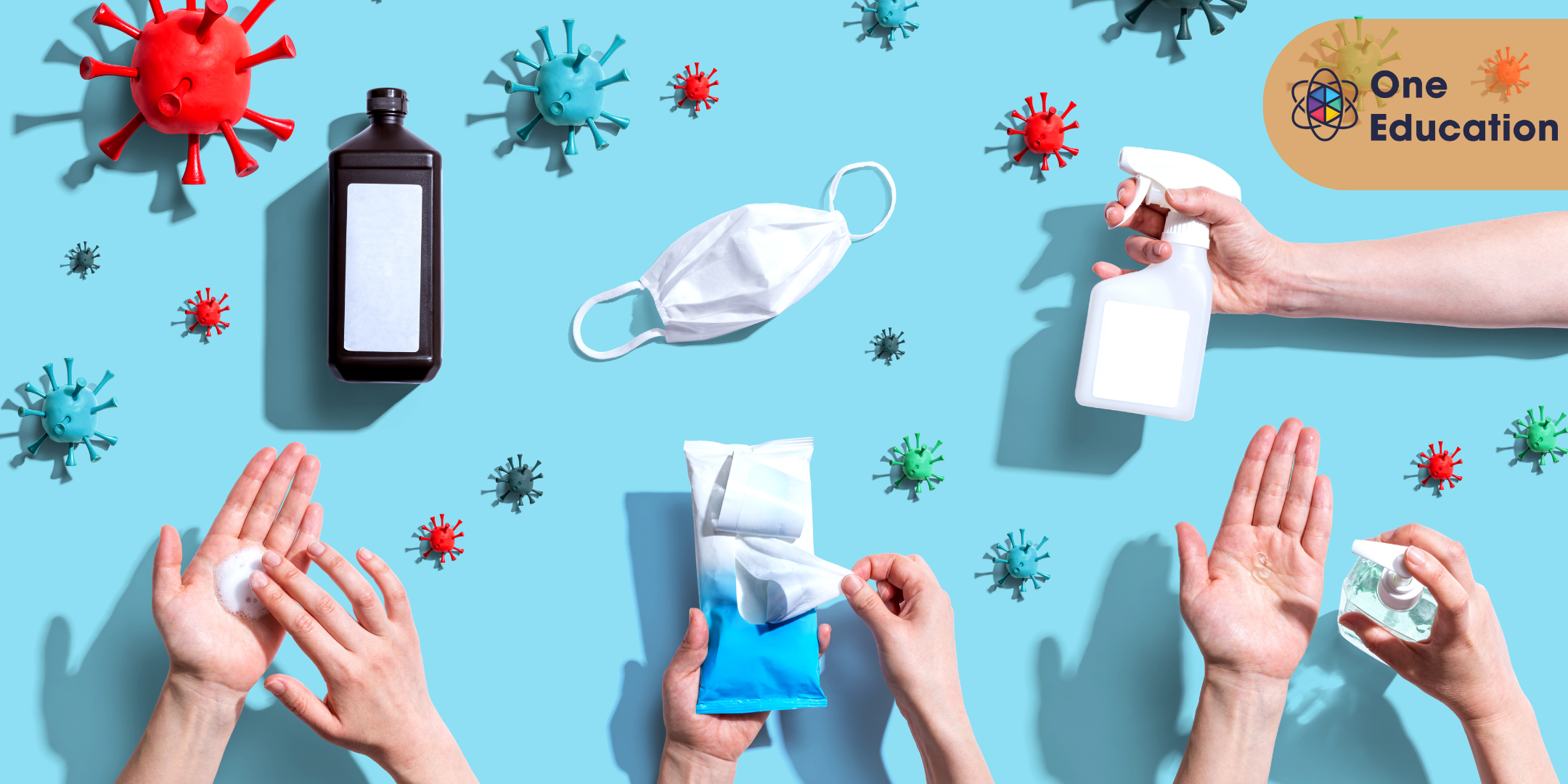 Principles of Infection Prevention and Control Course