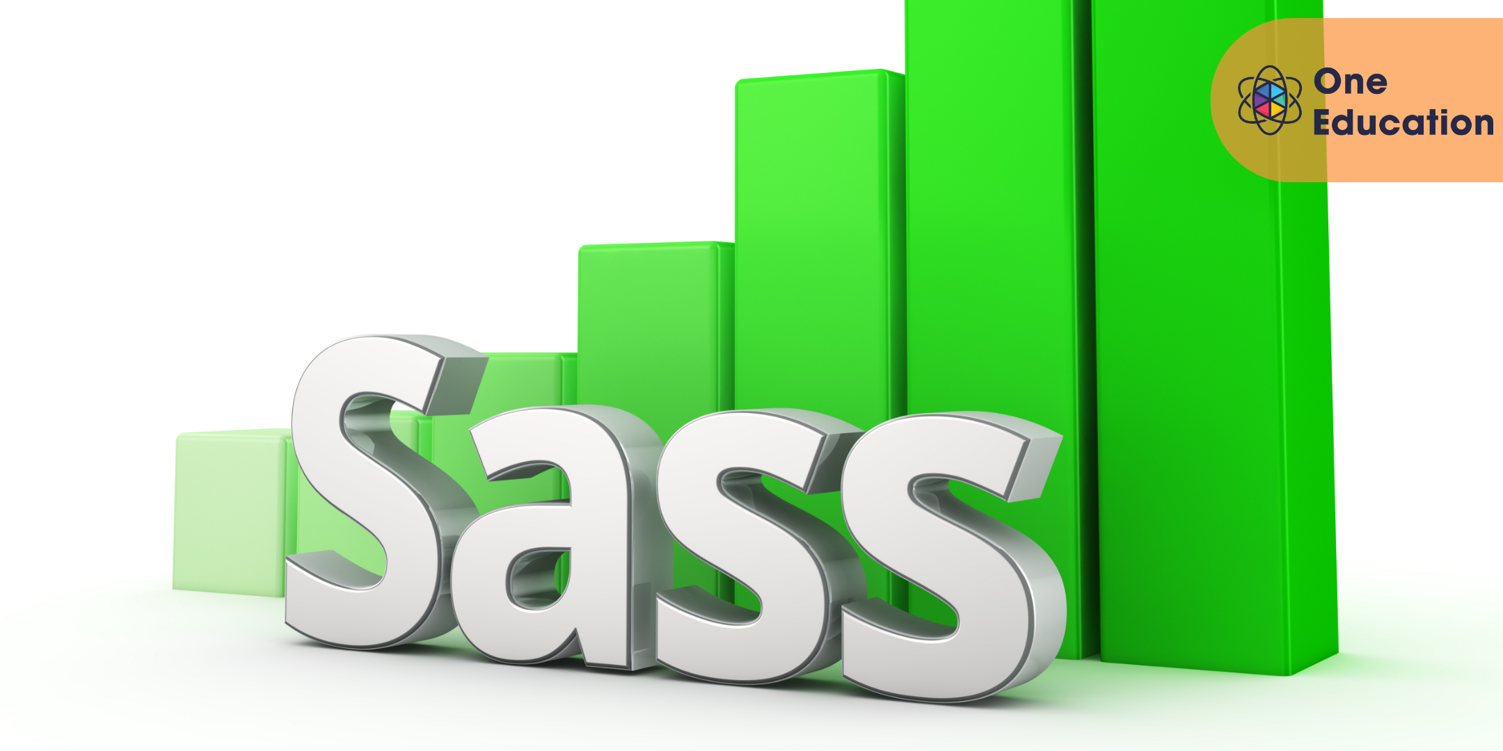 Business Analytics for Beginners Using SASS Course
