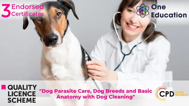 Dog Parasite Care, Dog Breeds and Basic Anatomy with Dog Cleaning Course