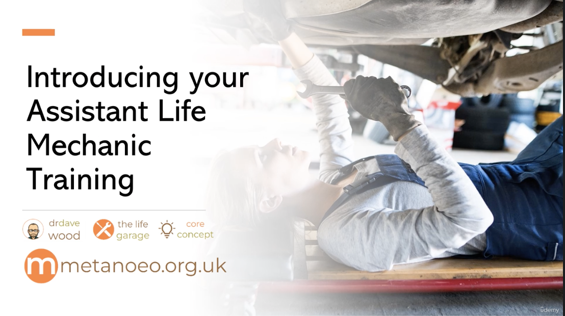 Level 2 Accredited Assistant Life Mechanic Training