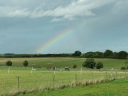 Low Farm Equestrian, Dog Paddock & Kennels logo