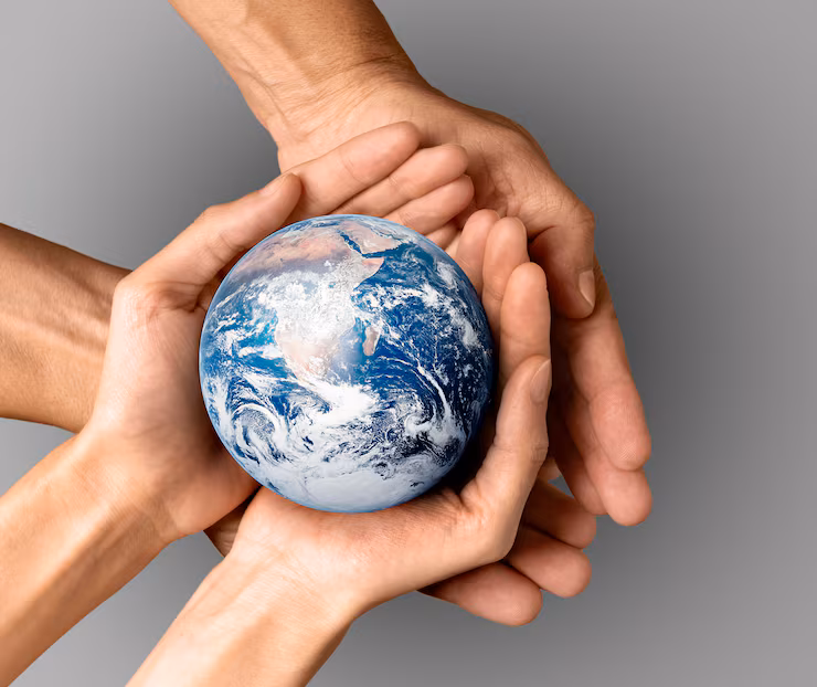 Carbon Literacy Training Day