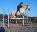 Hurstwood Farm Equestrian Centre logo