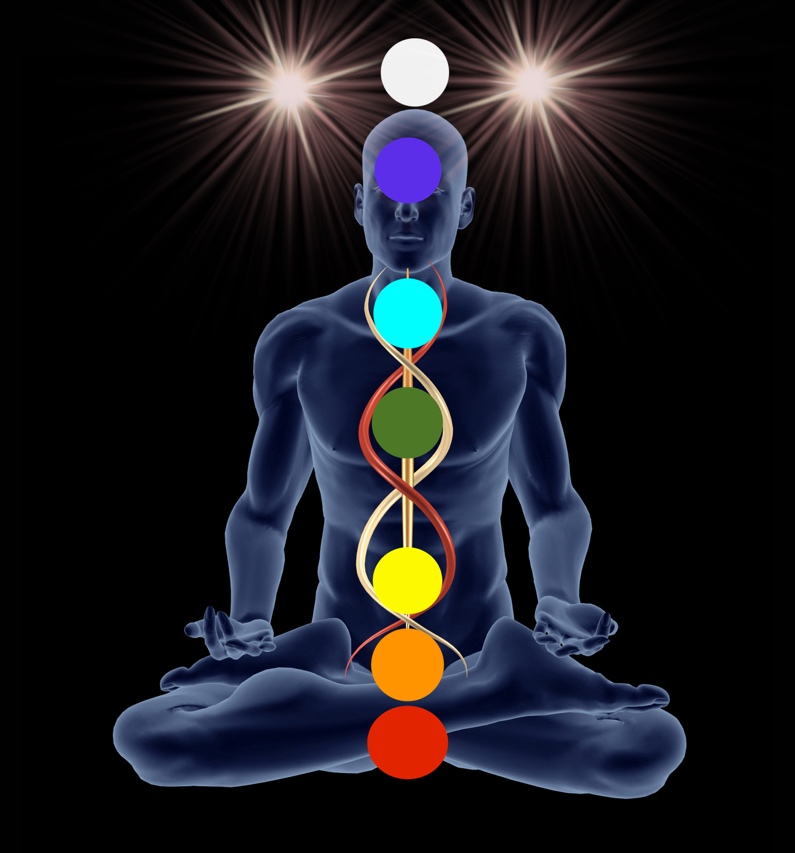 Aura and Chakra Anatomy – Diploma Course