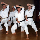 Totnes Karate Club logo