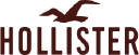 Hollisters logo