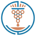 Honest Grapes logo