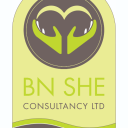 BN SHE Consultancy Ltd logo