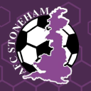 Afc Stoneham logo