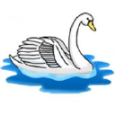 Streatham Swimming Club logo