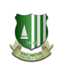 Watlington Cricket Club logo