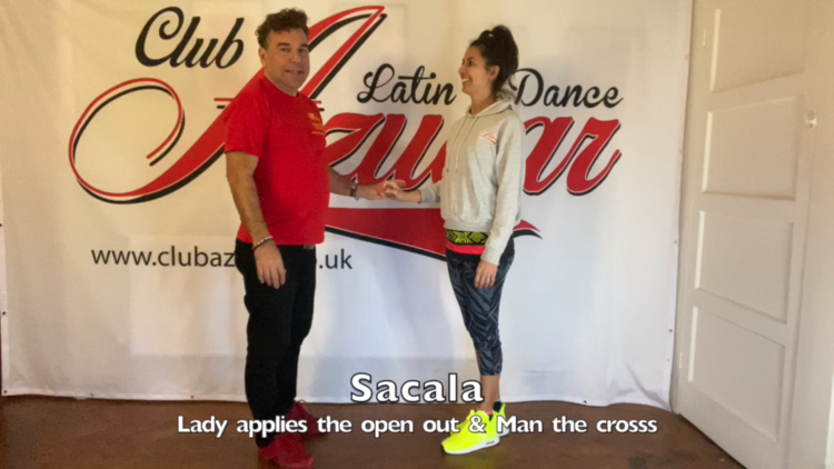 SALSA ONLINE BEGINNERS COURSE