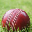 Chippenham Cricket Club logo