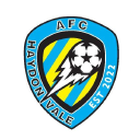 Afc Haydon Vale logo