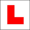 Traffic Lights Driving School logo