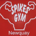 Spikes Gym logo