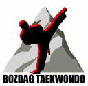 Bozdag Taekwondo Academy logo