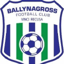 Mountain Quarter Home Of Ballynagross Fc logo