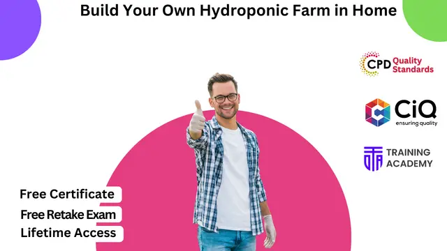 Build Your Own Hydroponic Farm in Home