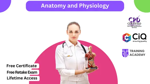 Human Biology: Anatomy and Physiology Level 3 Diploma