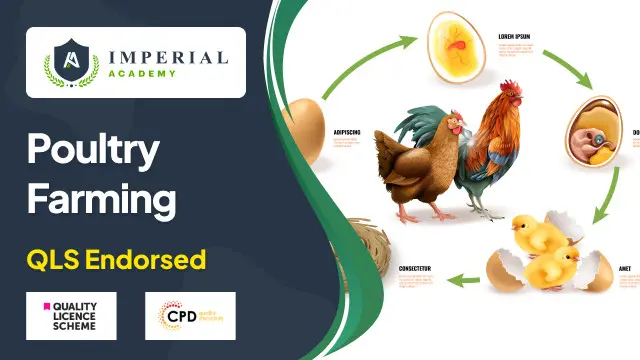 Poultry Farming Level 3, 4 & 5