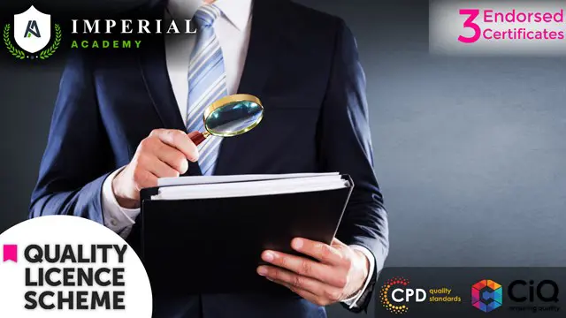 Financial Investigator, Corporate Finance & Internal Audit Skills