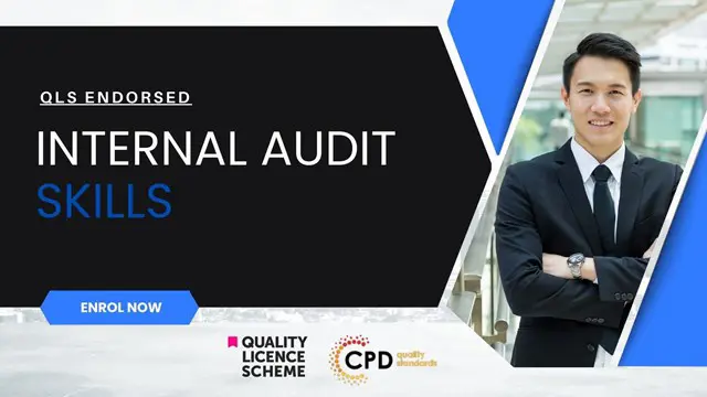 Internal Audit Skills