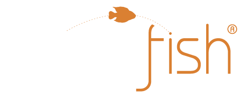 Mindfish Ltd logo