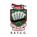 Earl Shilton Town Cricket Club logo