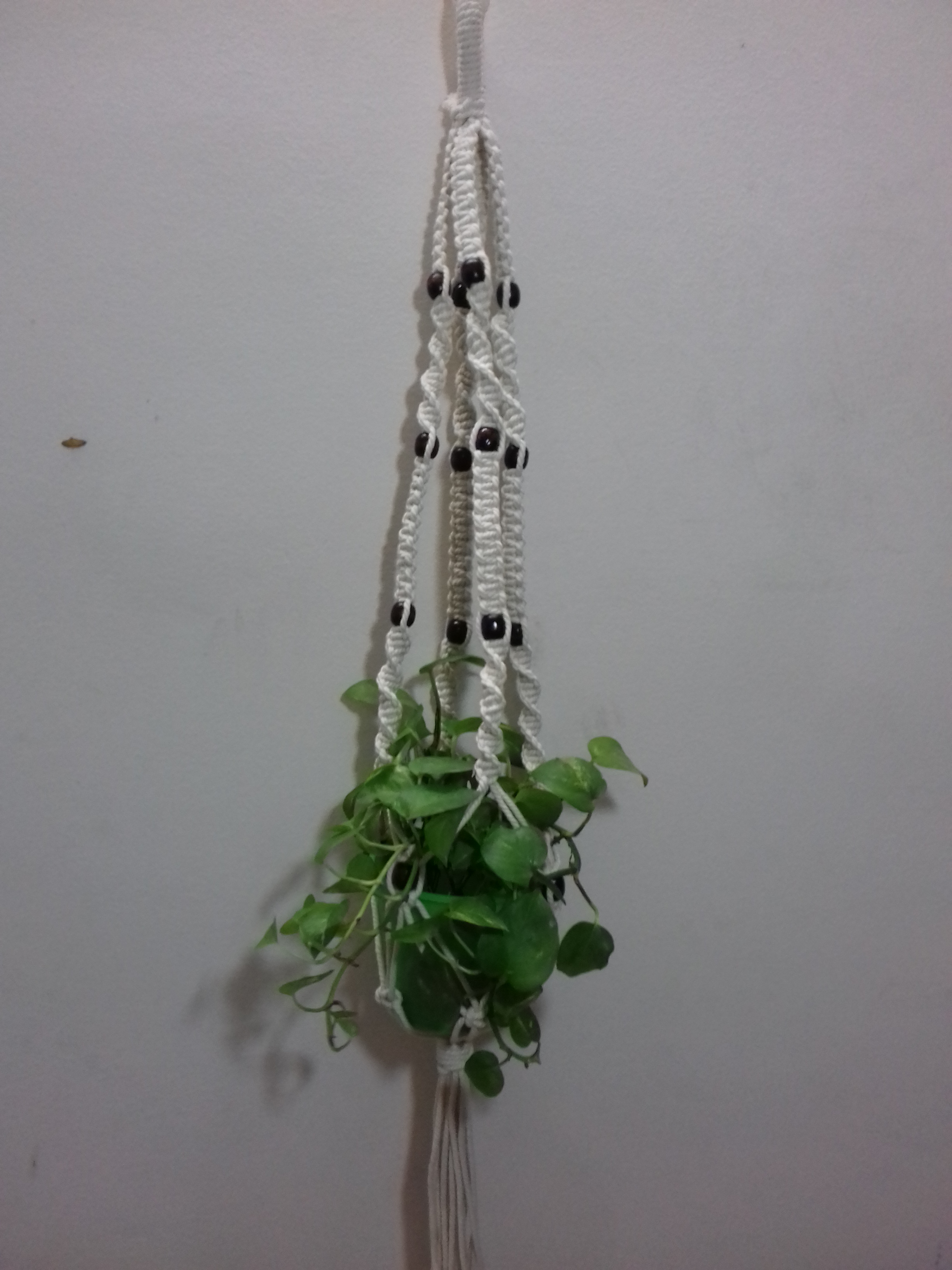 MACRAME BEGINNER PLANT HANGER