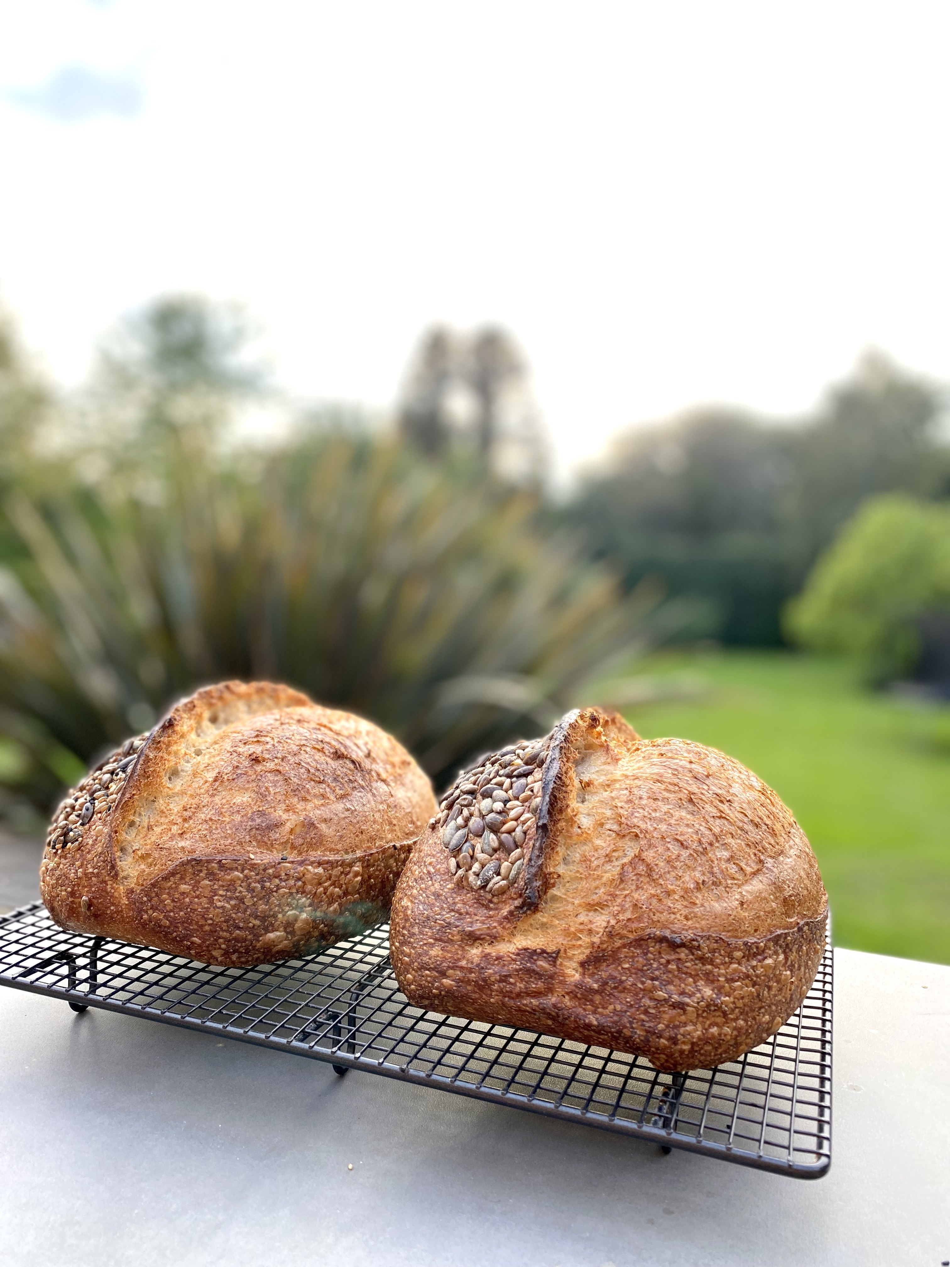 'Introduction to Sourdough Baking' Workshop