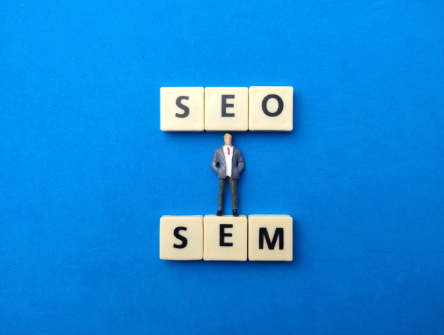 Advanced Training on SEO & SMM Strategies