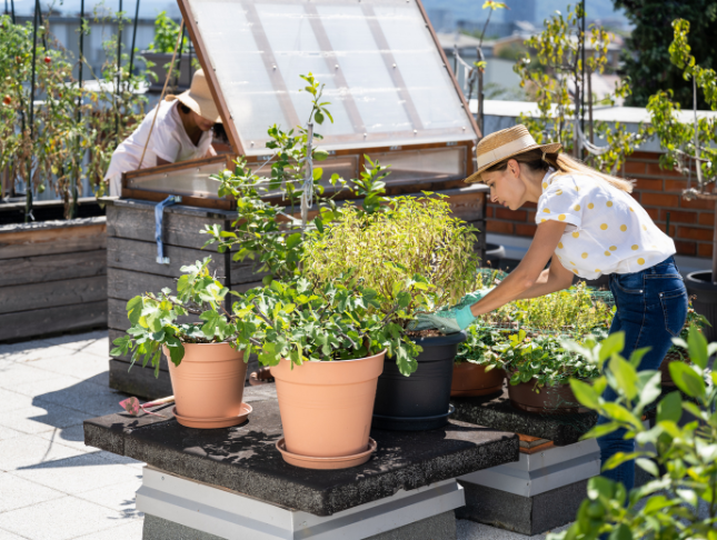 Urban Gardening and Sustainable Cities