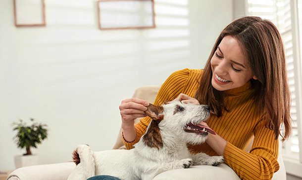 Animal Care and Pet First Aid Course