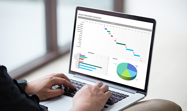 Data Analysis, Automating and Visualisation in Excel