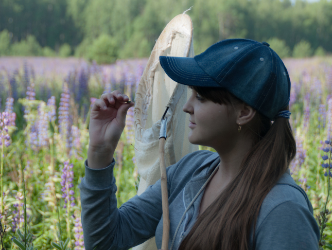 Exploring the Fascinating World of Entomology (Insect Studies)