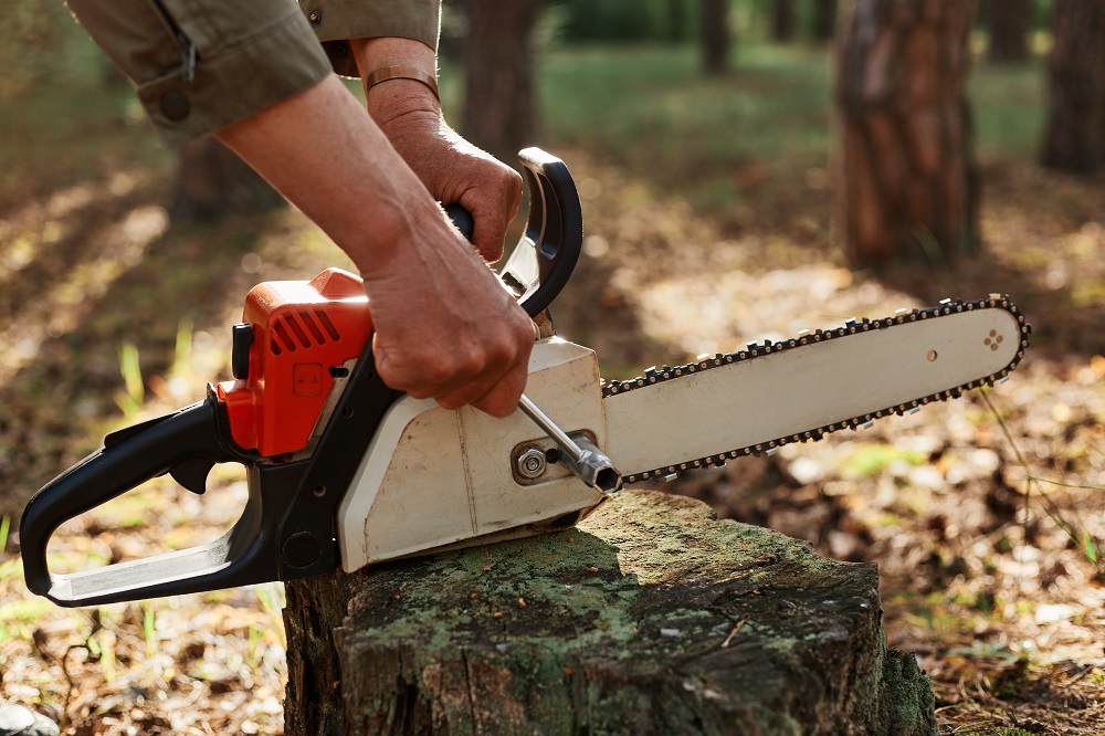 Chainsaw Safety Training