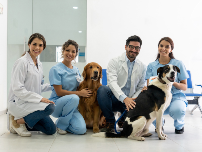 Animal Care and Pet Sitting